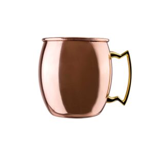 Solid Moscow Mule Mug